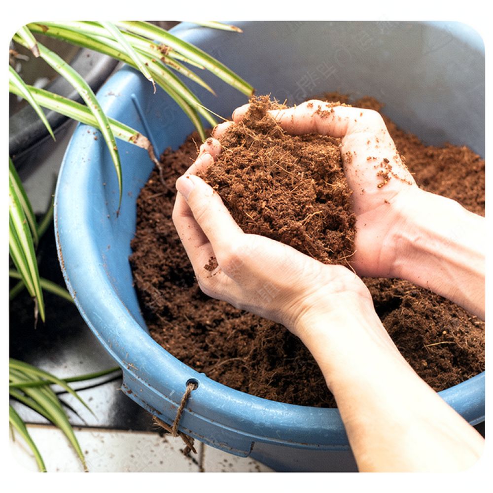 High Absorption Coconut Coir S - đánh giá và giá Substrate Coconut Fiber