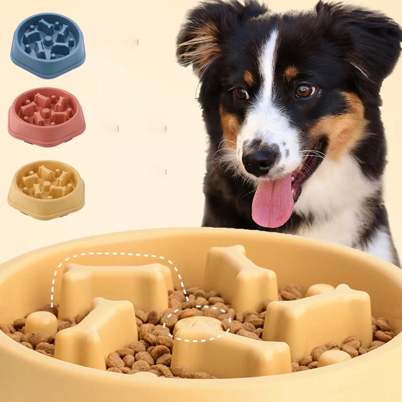 Slow Feeder Dog Bowl Non Slip  - đánh giá và giá Royal Canin Food Medium